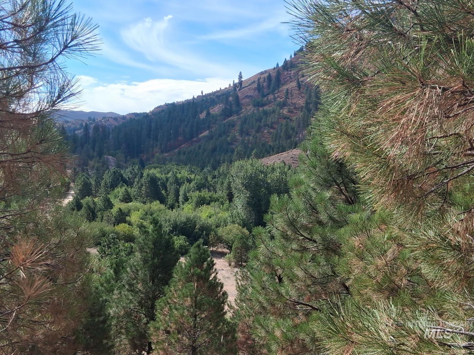 14 Long Gulch Rd, Prairie, Idaho 83647, Land For Sale, Price $199,000, 98961205
