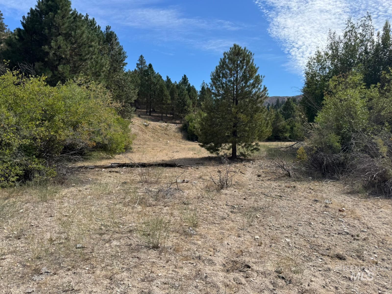 14 Long Gulch Rd, Prairie, Idaho 83647, Land For Sale, Price $199,000, 98961205