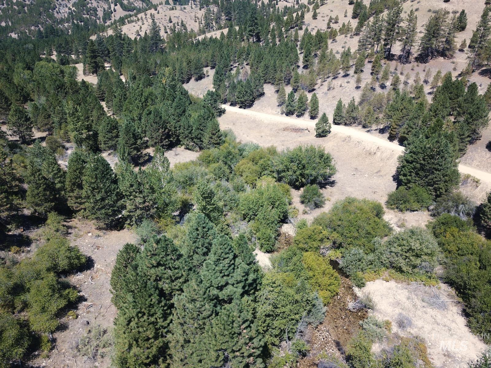 14 Long Gulch Rd, Prairie, Idaho 83647, Land For Sale, Price $199,000, 98961205