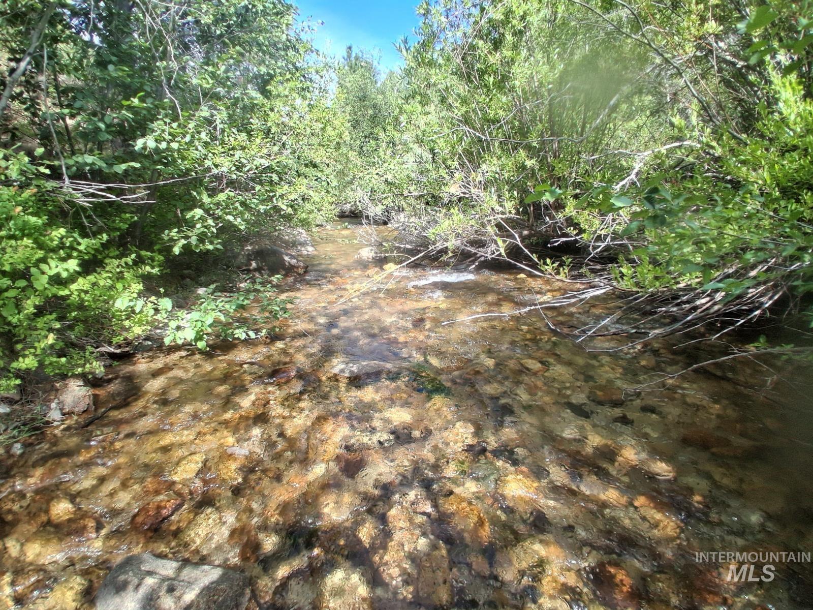 14 Long Gulch Rd, Prairie, Idaho 83647, Land For Sale, Price $199,000, 98961205