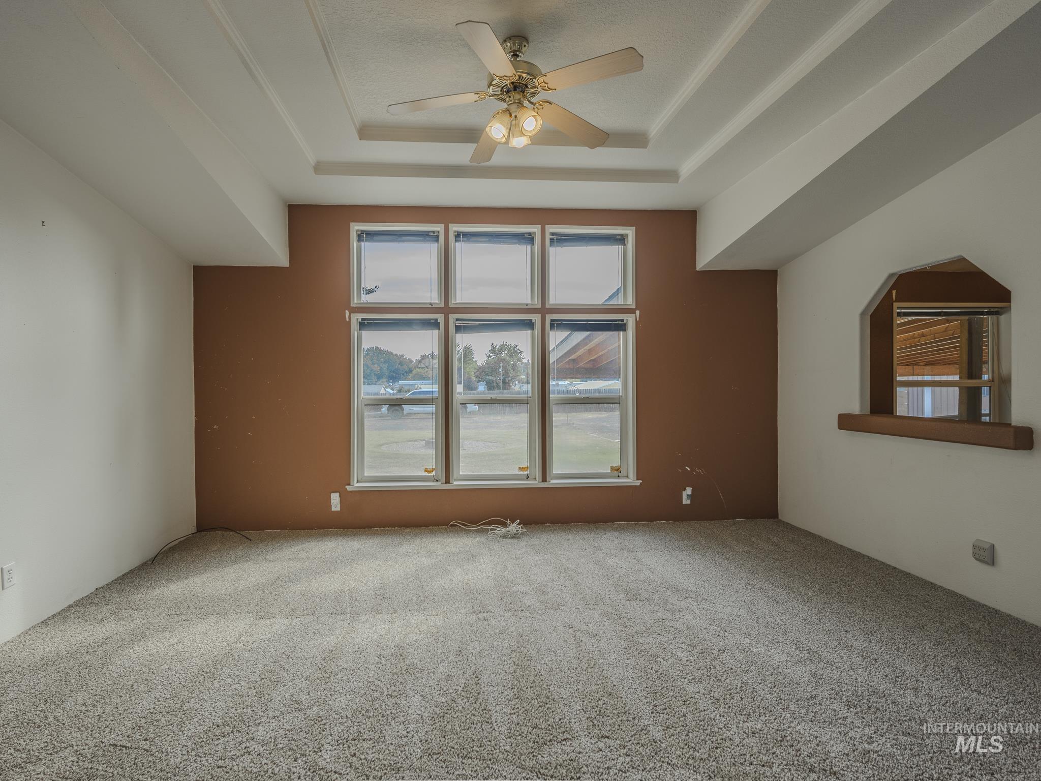 Spare room featuring a raised ceiling, carpet flooring, and a ceiling fan