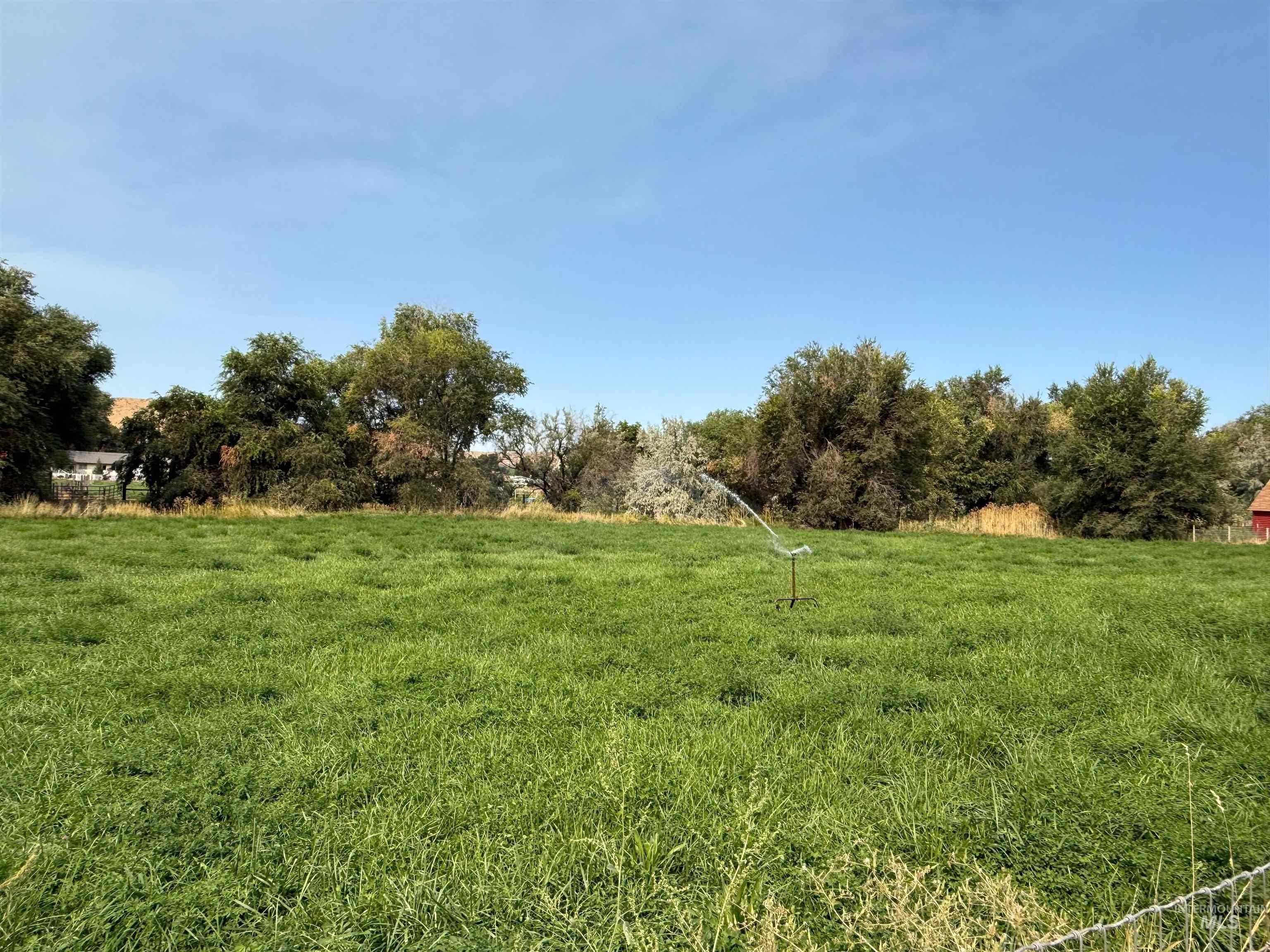 Irrigated Alfalfa Field