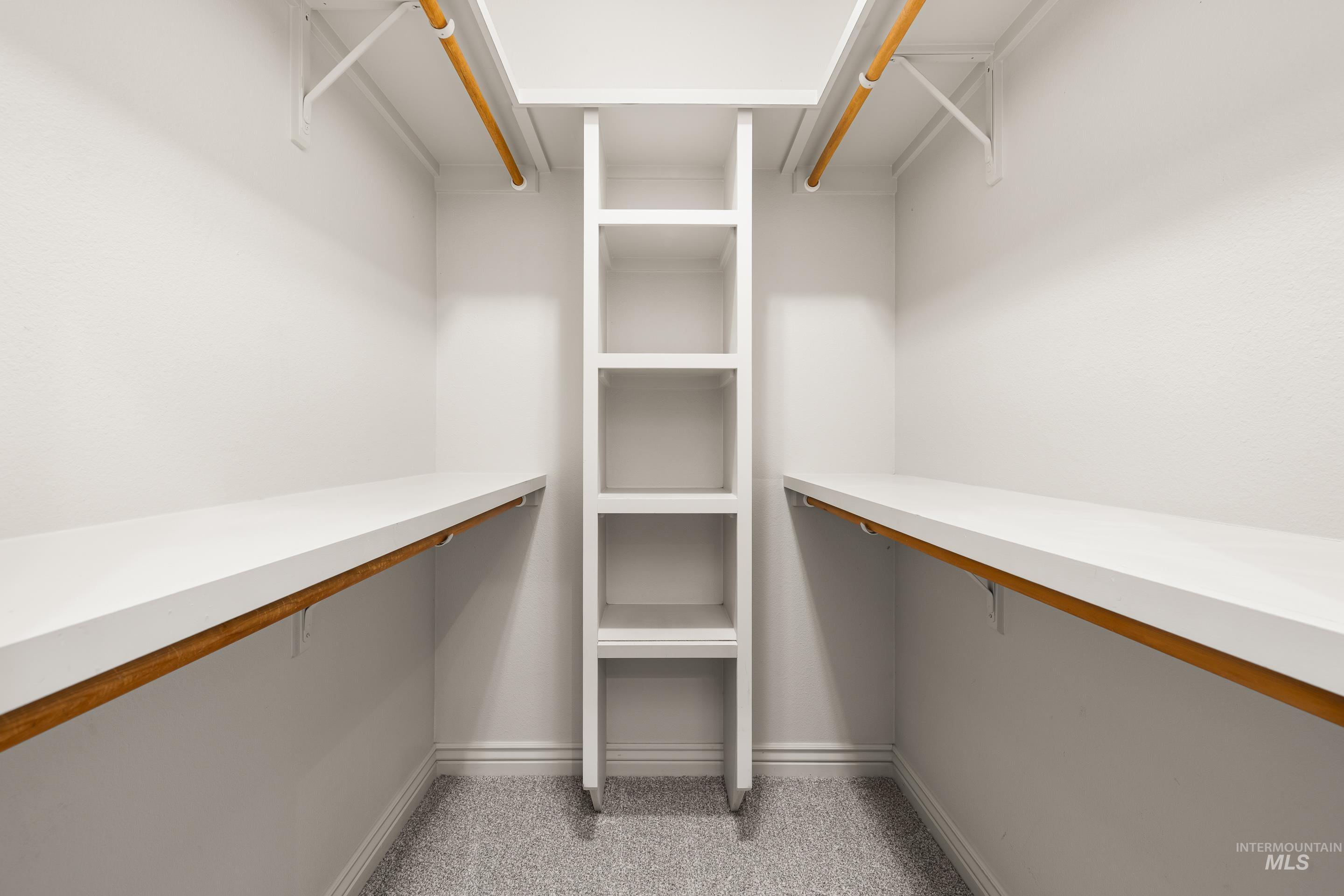 Walk in closet with light colored carpet