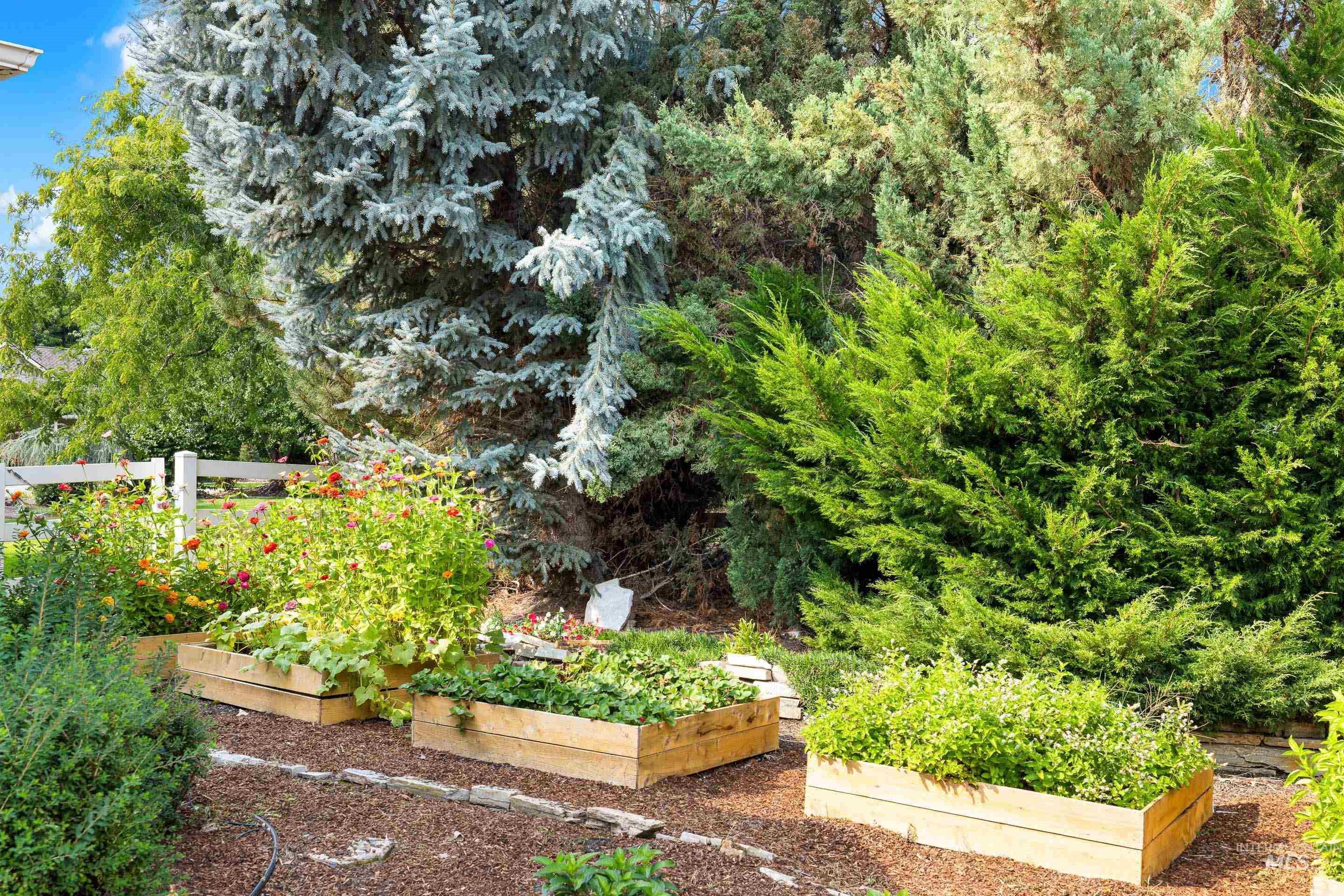 View of yard featuring a vegetable garden