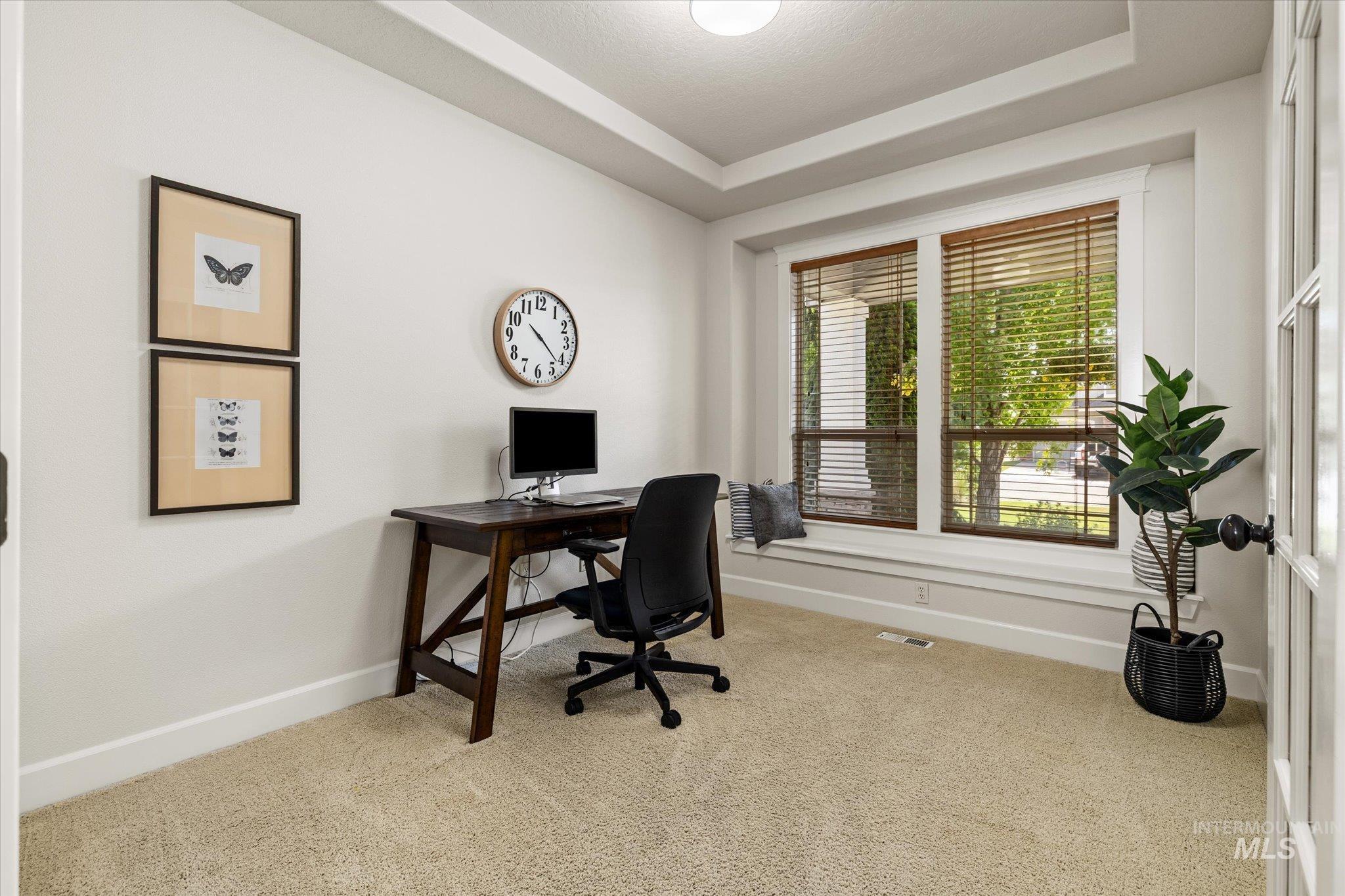 Office featuring light colored carpet and a raised ceiling