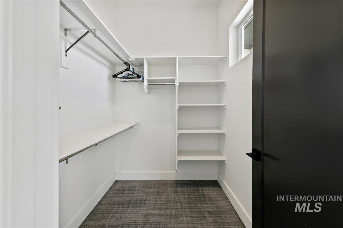 Spacious closet featuring dark carpet