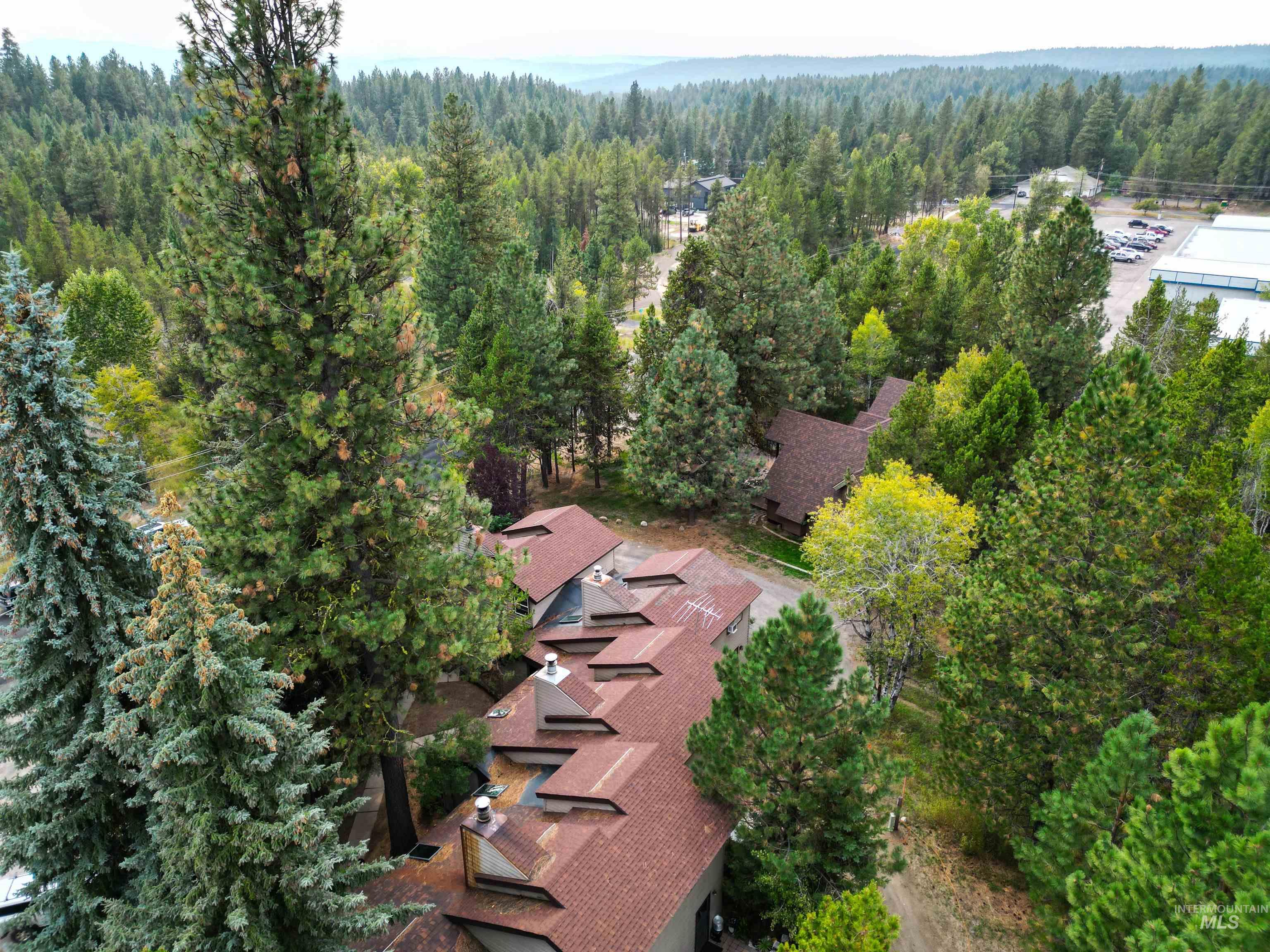Drone / aerial view of a heavily wooded area