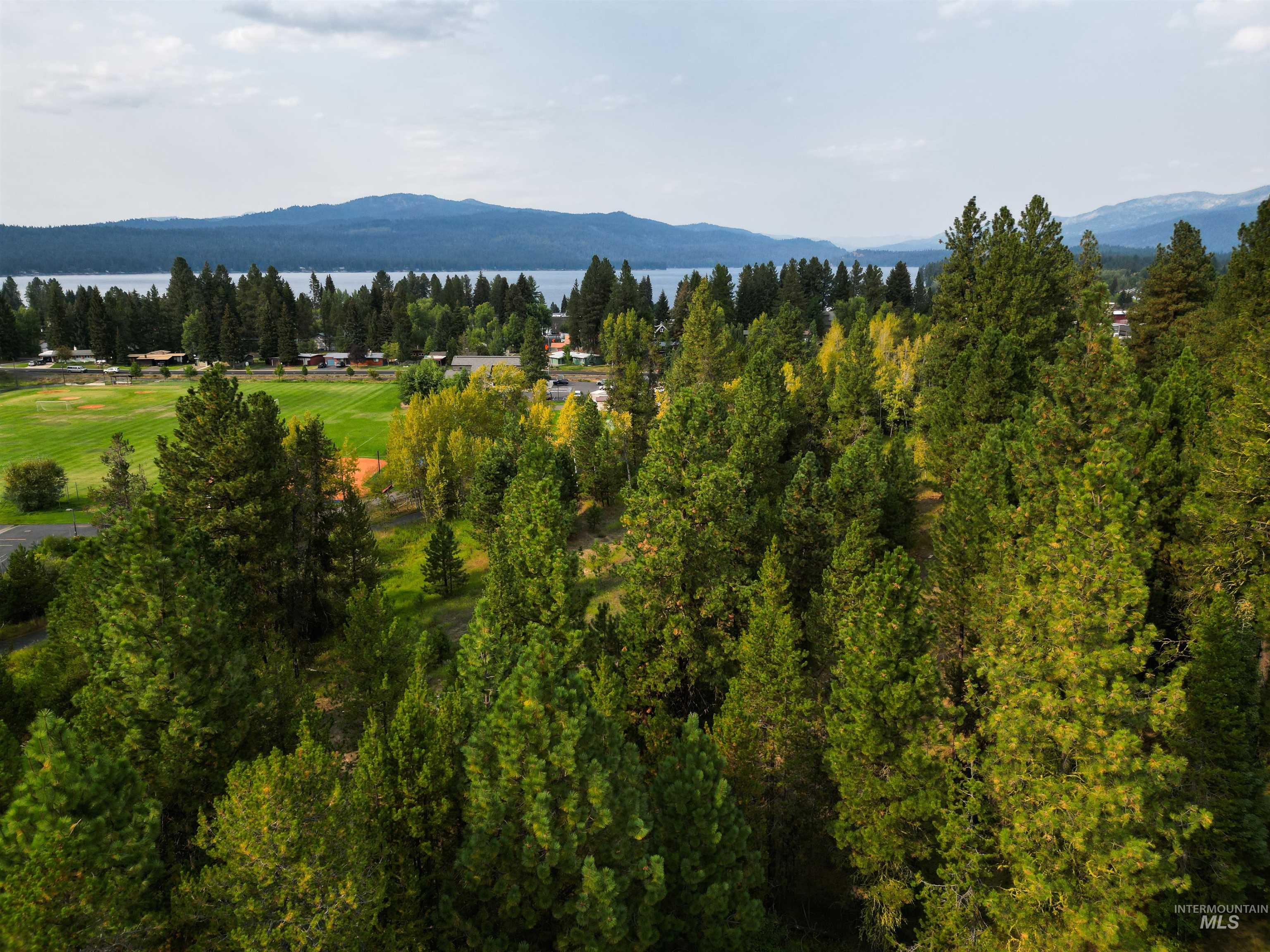 View of mountain background featuring a forest