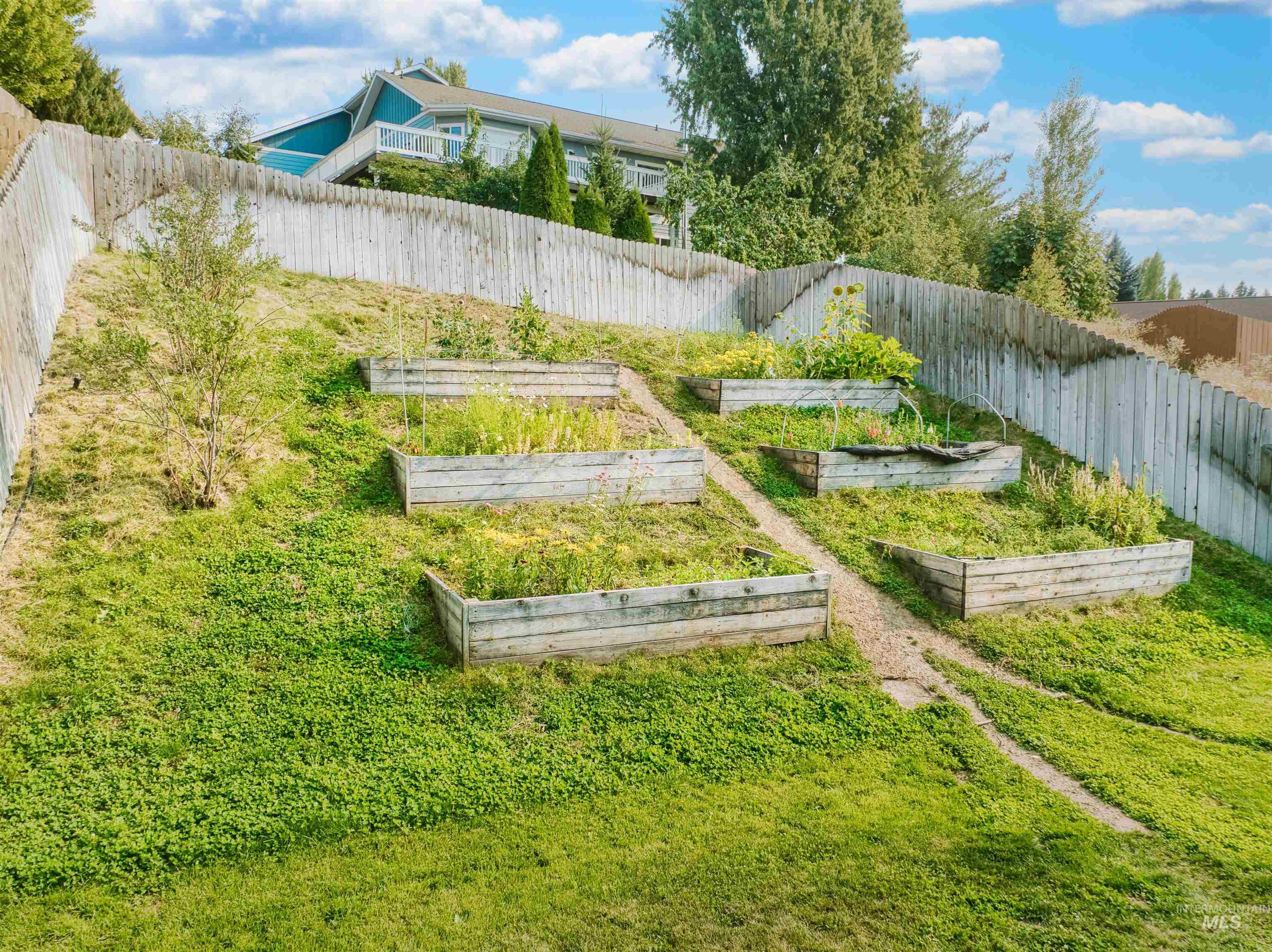Fenced backyard with a vegetable garden