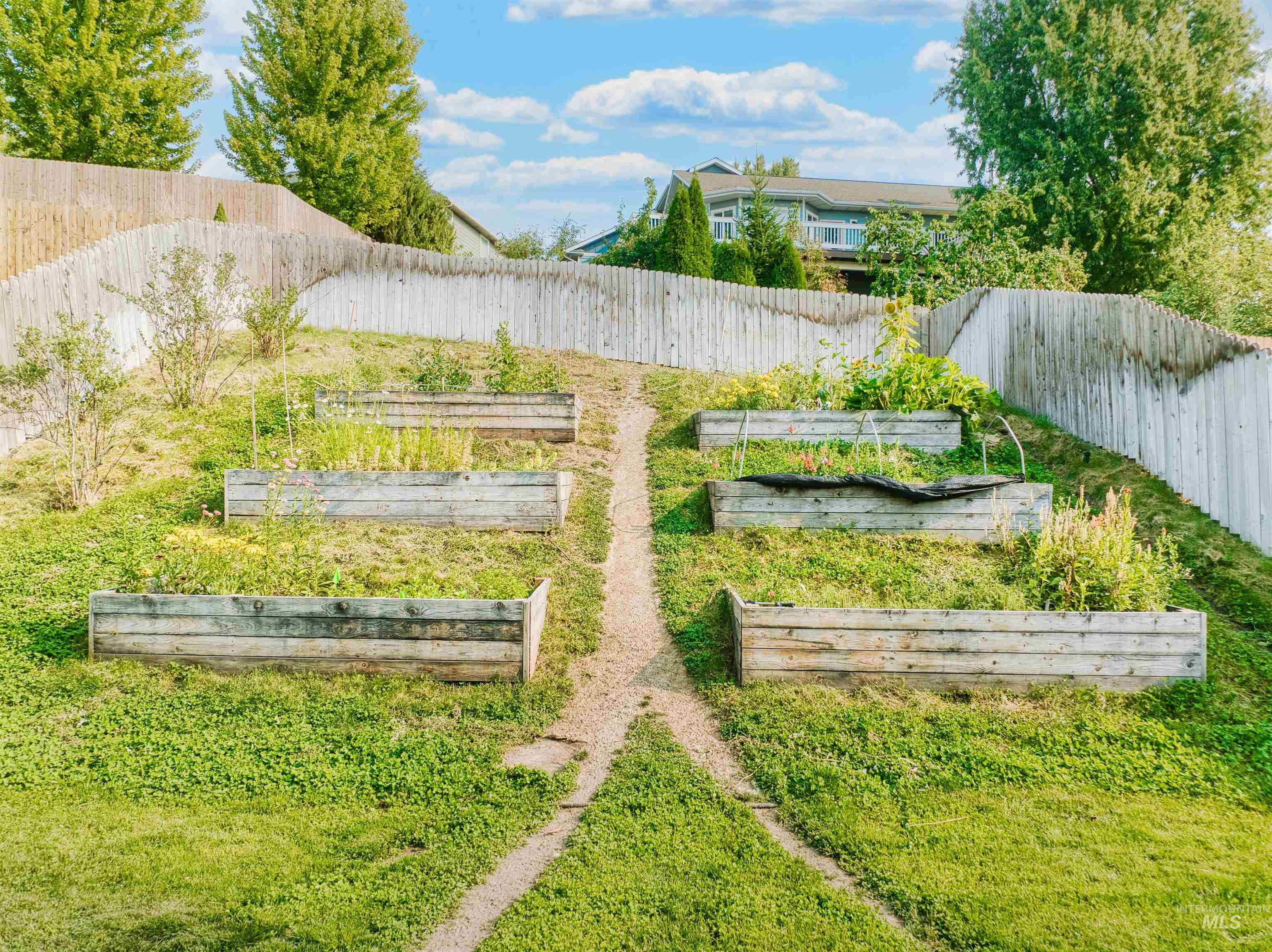 Fenced backyard with a garden