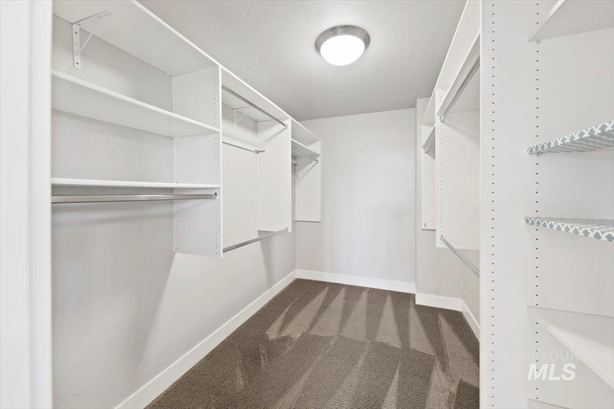 Walk in closet featuring dark colored carpet