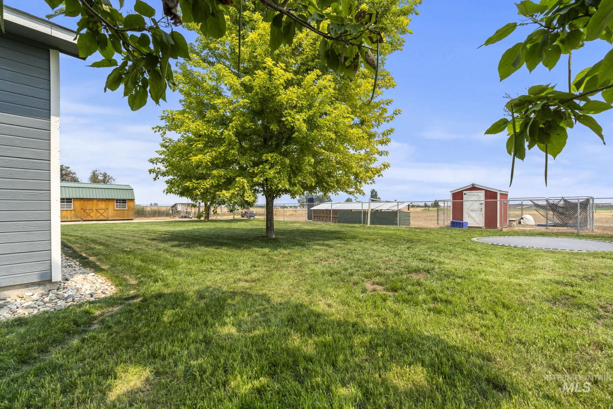 View of yard with a storage shed