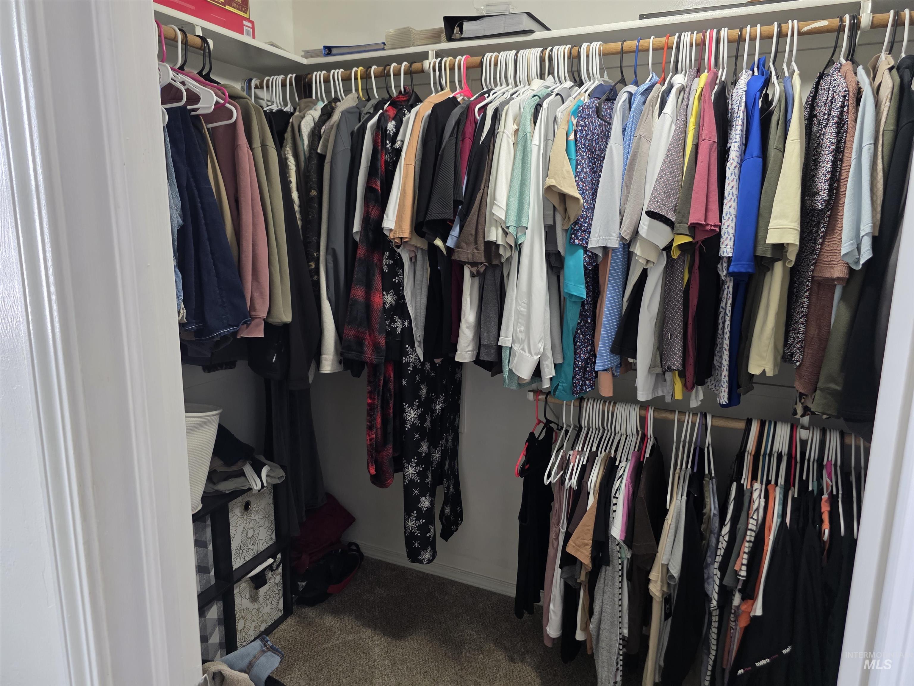 Walk in closet with dark colored carpet