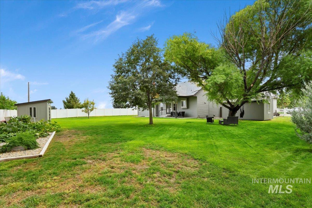 View of yard with a patio area and a shed