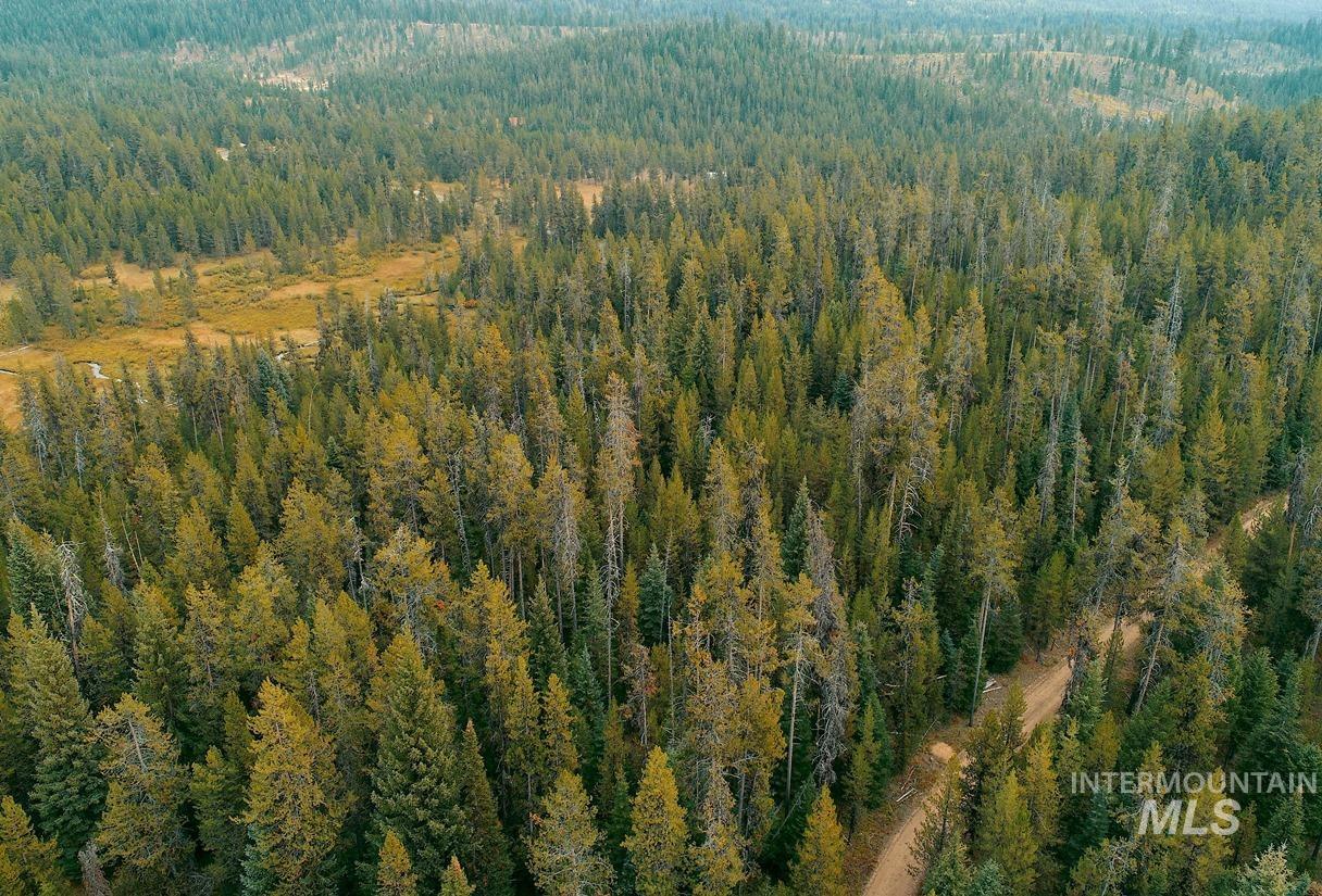 TBD Homestead Road, Donnelly, Idaho 83615, Land For Sale, Price $199,000, 98961301