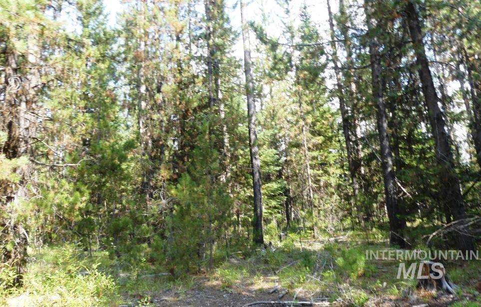 TBD Homestead Road, Donnelly, Idaho 83615, Land For Sale, Price $199,000, 98961301