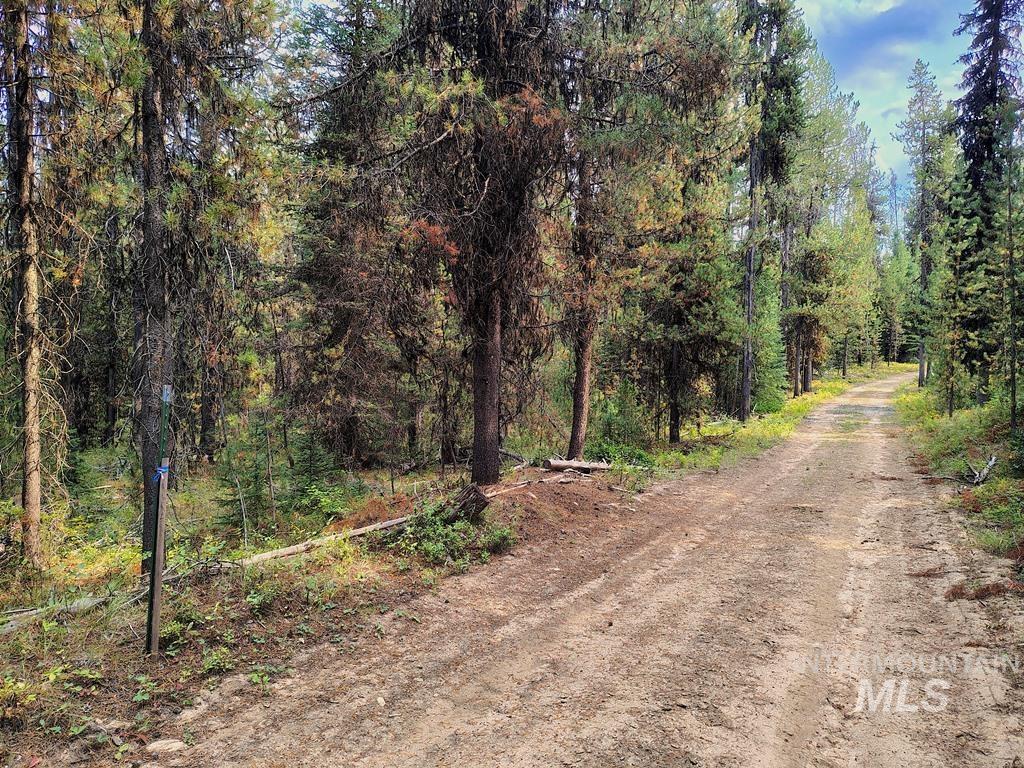 TBD Homestead Road, Donnelly, Idaho 83615, Land For Sale, Price $199,000, 98961301