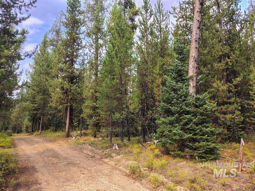 TBD Homestead Road, Donnelly, Idaho 83615, Land For Sale, Price $199,000, 98961301