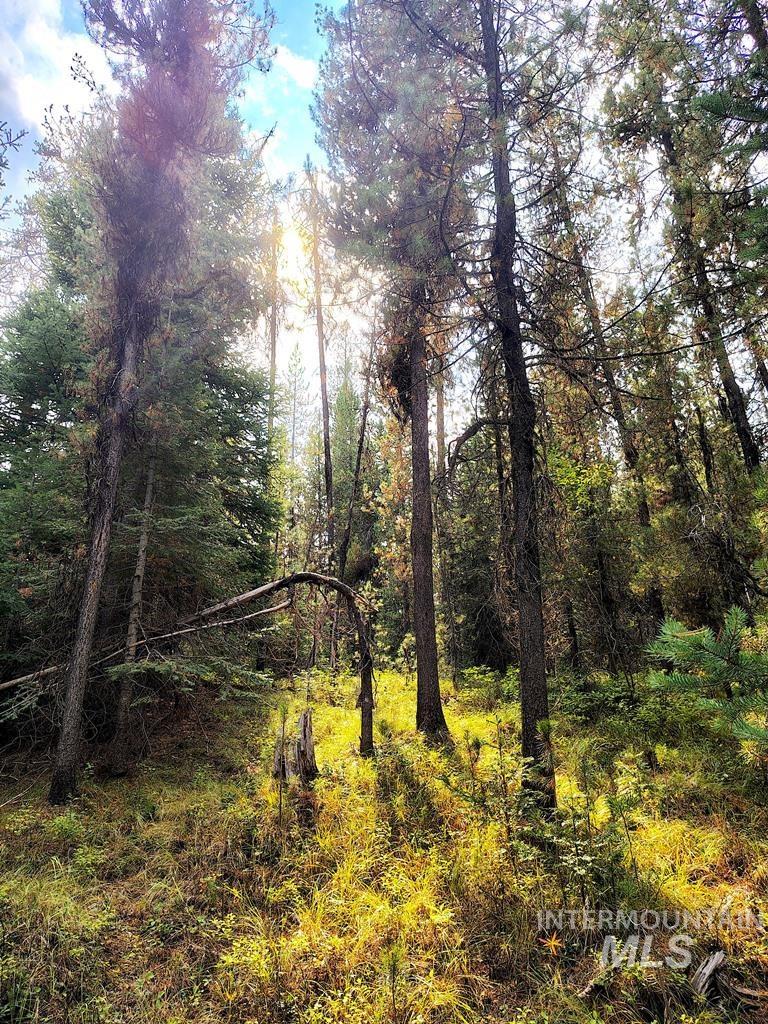 TBD Homestead Road, Donnelly, Idaho 83615, Land For Sale, Price $199,000, 98961301