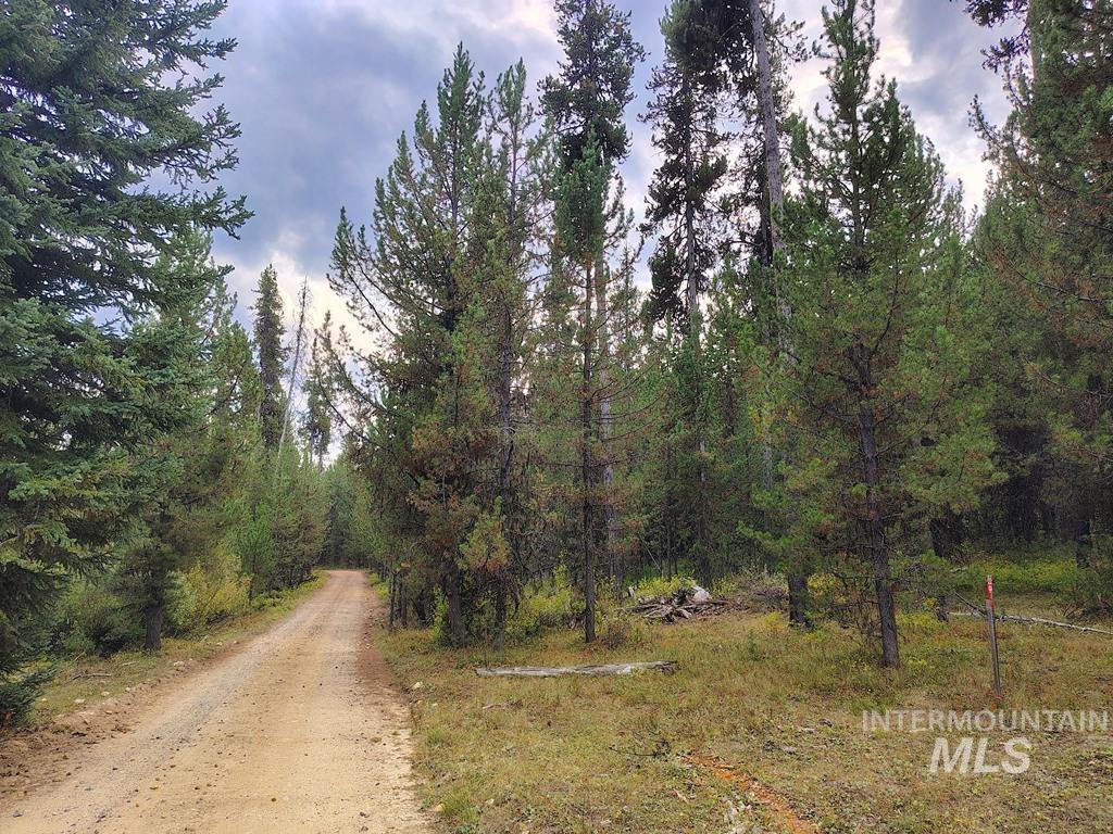 TBD Homestead Road, Donnelly, Idaho 83615, Land For Sale, Price $199,000, 98961301
