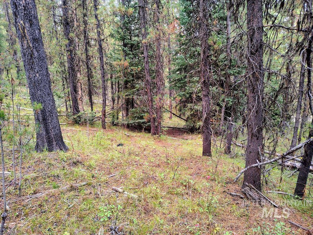 TBD Homestead Road, Donnelly, Idaho 83615, Land For Sale, Price $199,000, 98961301