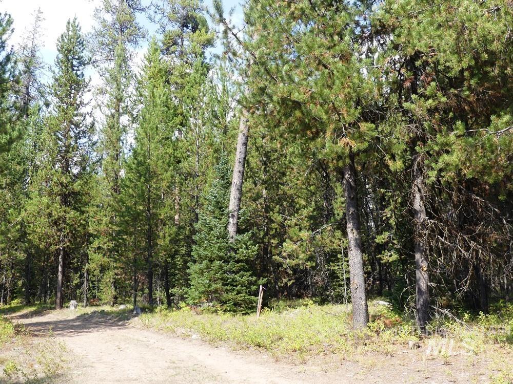 TBD Homestead Road, Donnelly, Idaho 83615, Land For Sale, Price $199,000, 98961301