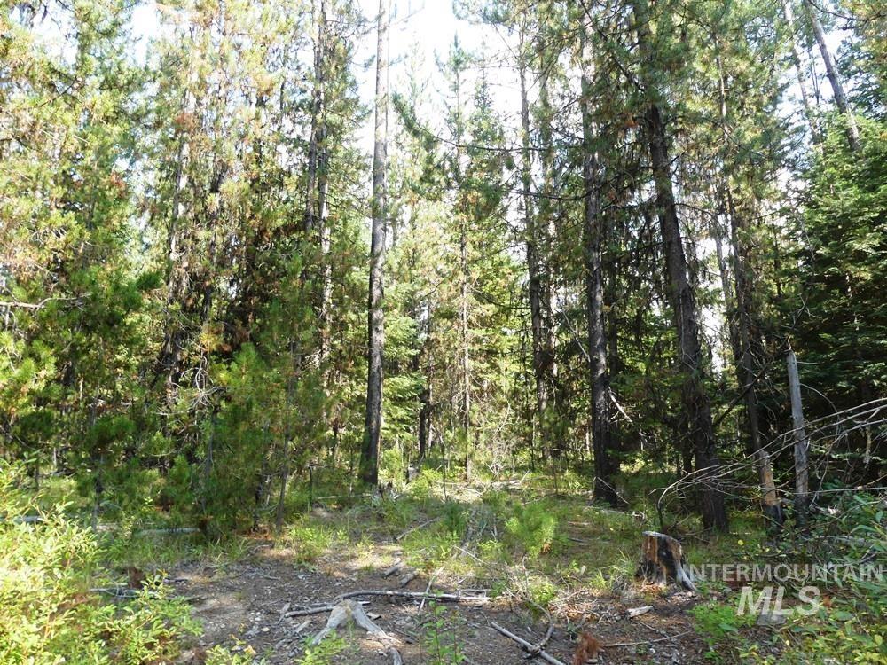 TBD Homestead Road, Donnelly, Idaho 83615, Land For Sale, Price $199,000, 98961301