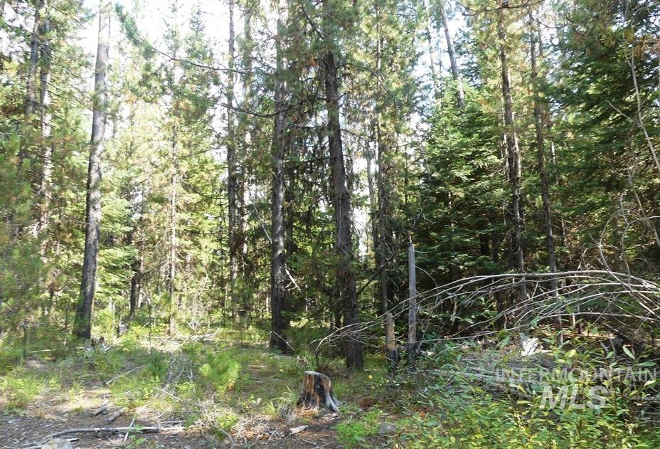 TBD Homestead Road, Donnelly, Idaho 83615, Land For Sale, Price $199,000, 98961301