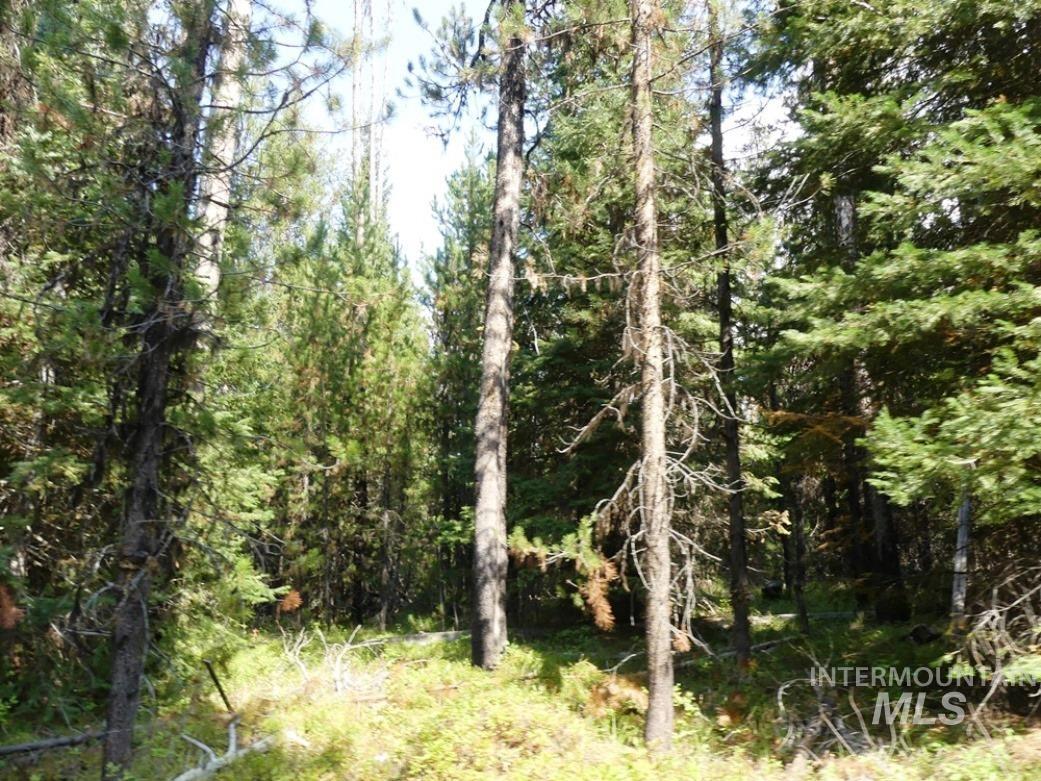 TBD Homestead Road, Donnelly, Idaho 83615, Land For Sale, Price $199,000, 98961301