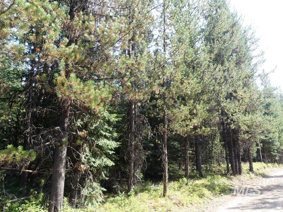 TBD Homestead Road, Donnelly, Idaho 83615, Land For Sale, Price $199,000, 98961301