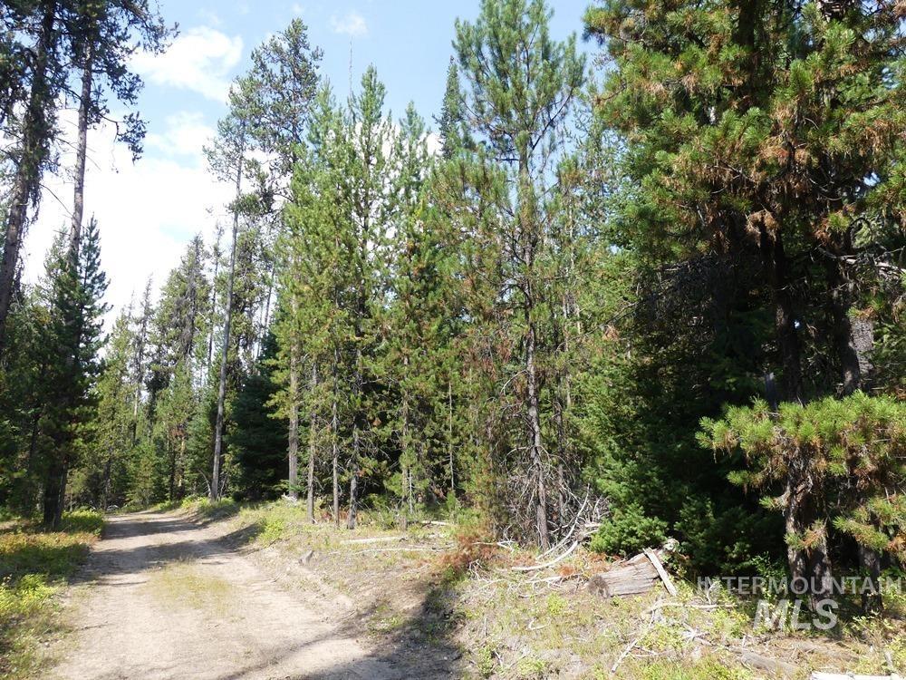 TBD Homestead Road, Donnelly, Idaho 83615, Land For Sale, Price $199,000, 98961301