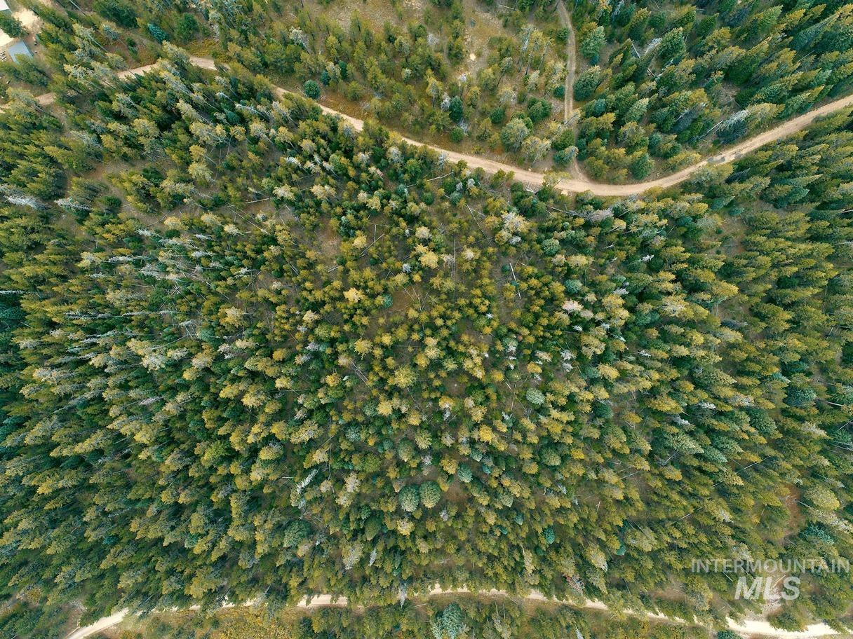 TBD Homestead Road, Donnelly, Idaho 83615, Land For Sale, Price $199,000, 98961301