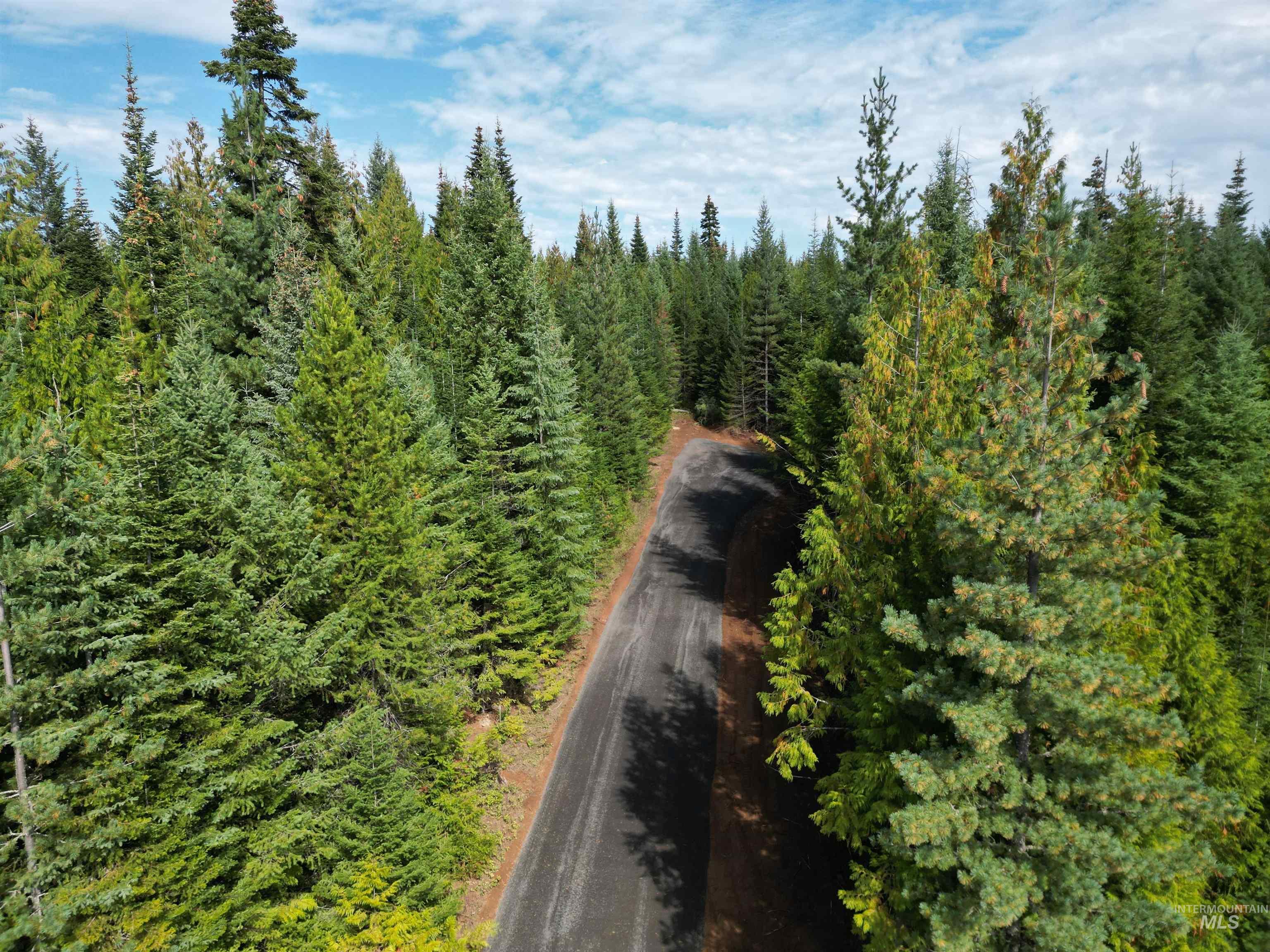 View of asphalt road with a wooded view