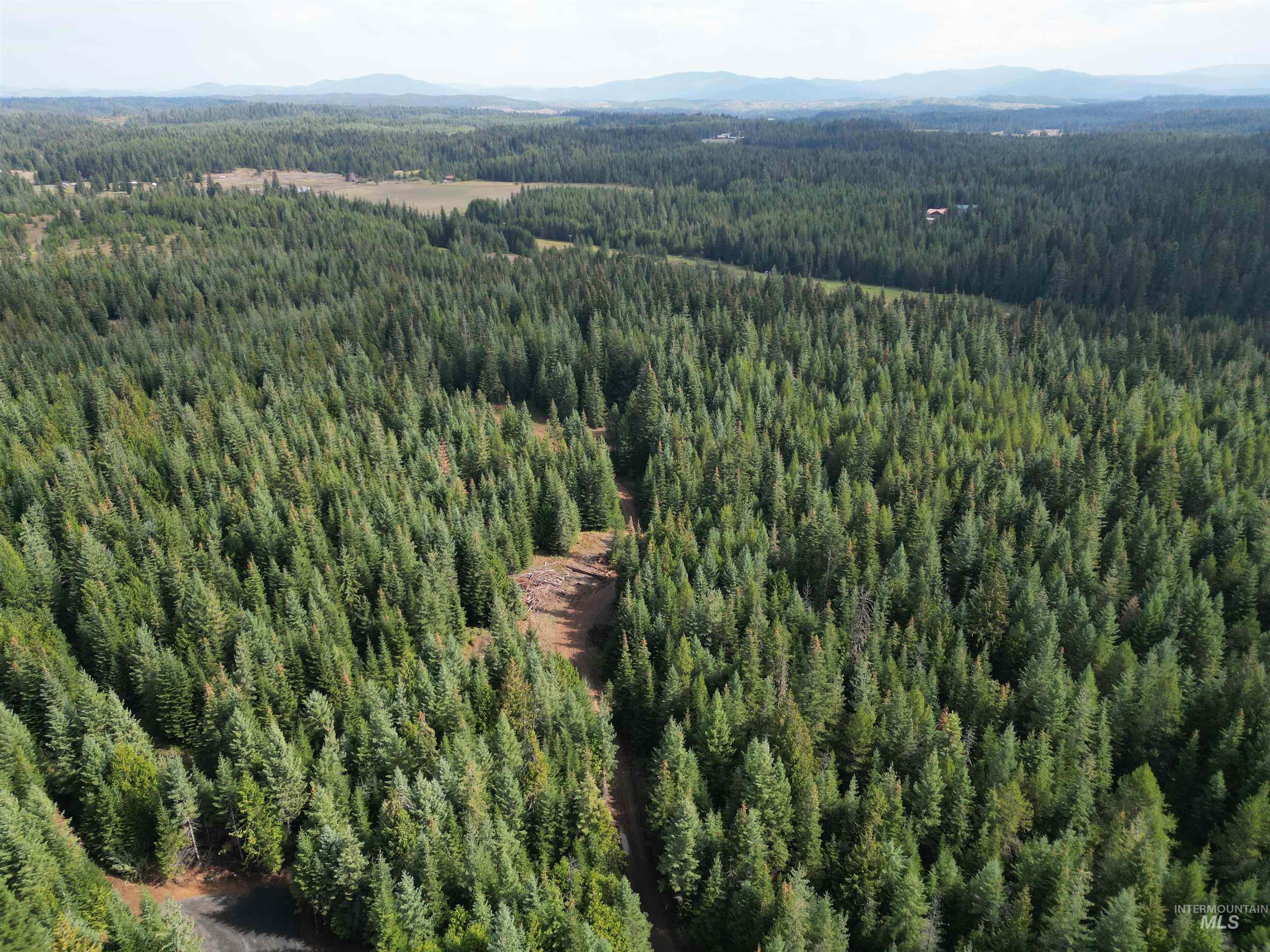 Drone / aerial view of a mountainous background