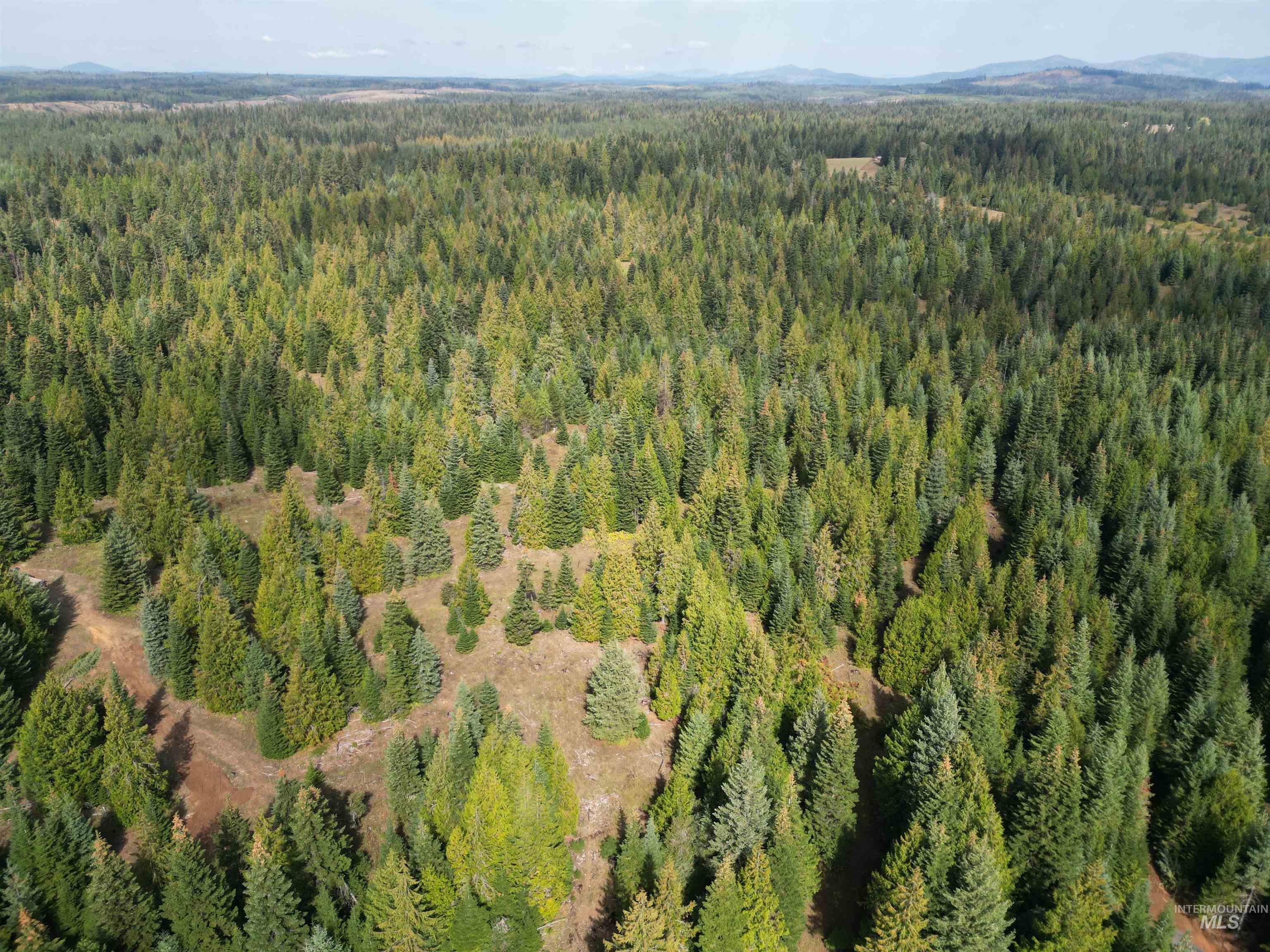 View of property location featuring a mountain backdrop