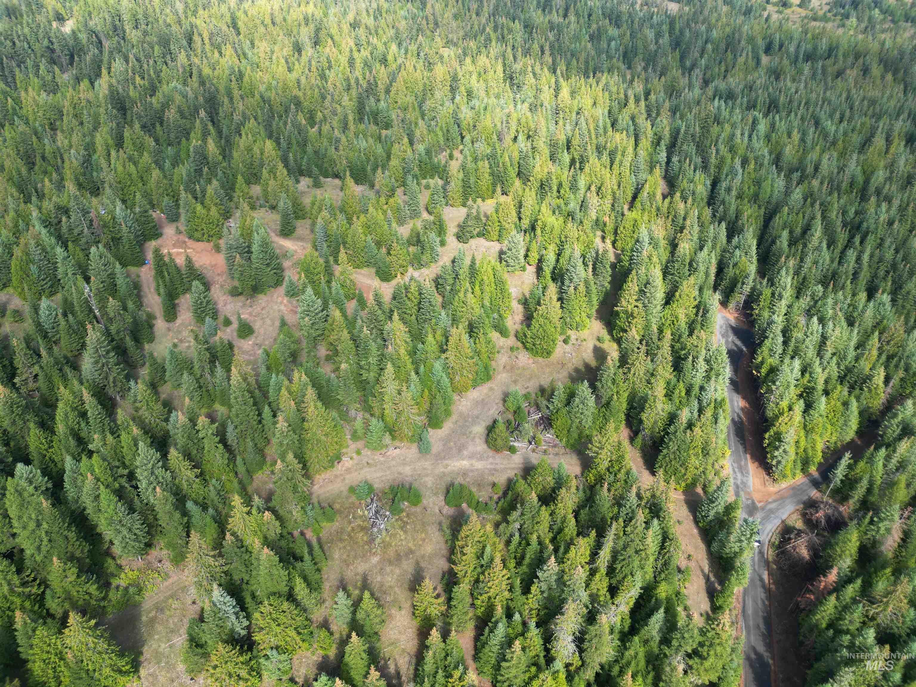 Aerial view of a heavily wooded area