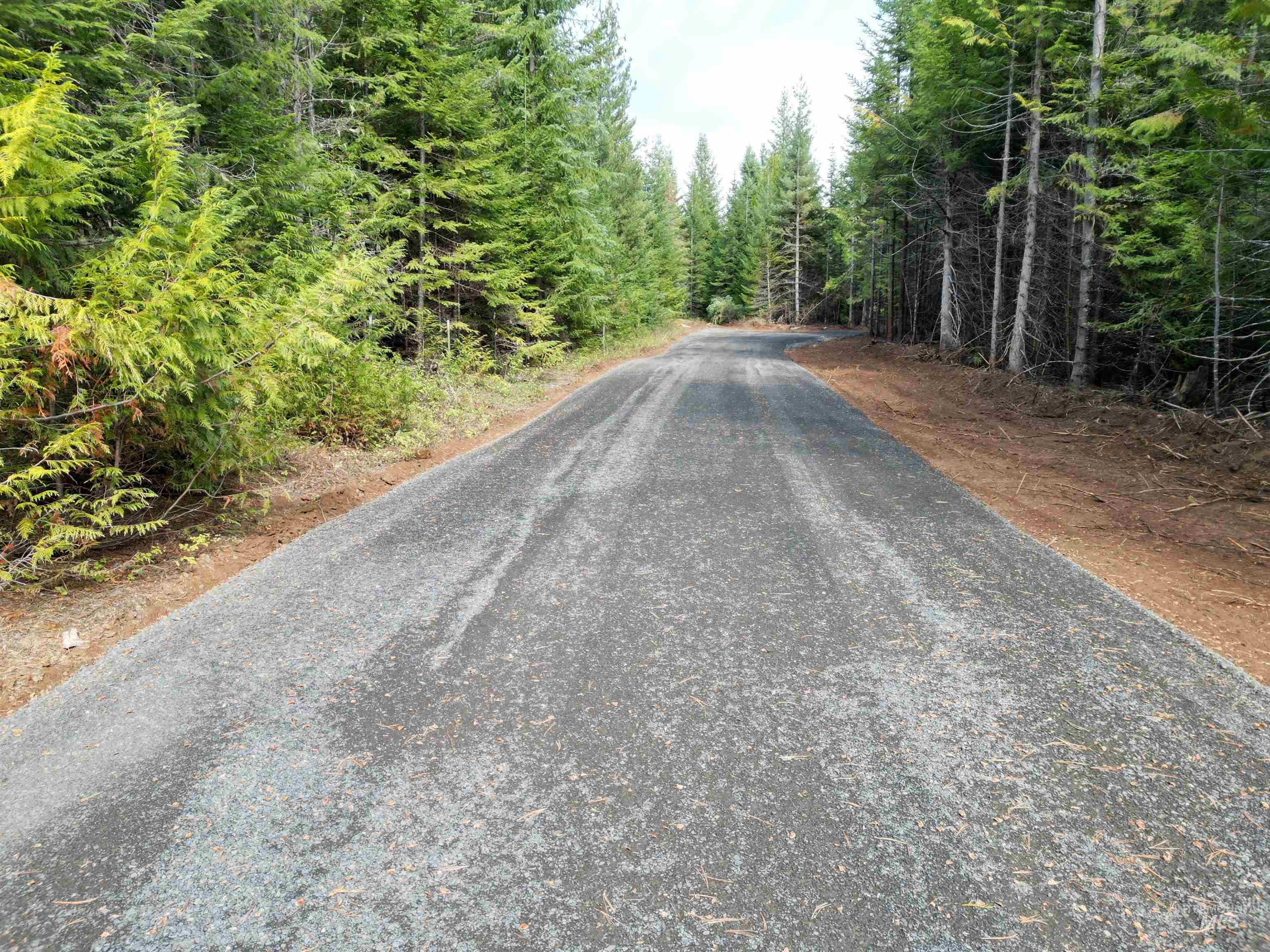 View of asphalt street with a view of trees