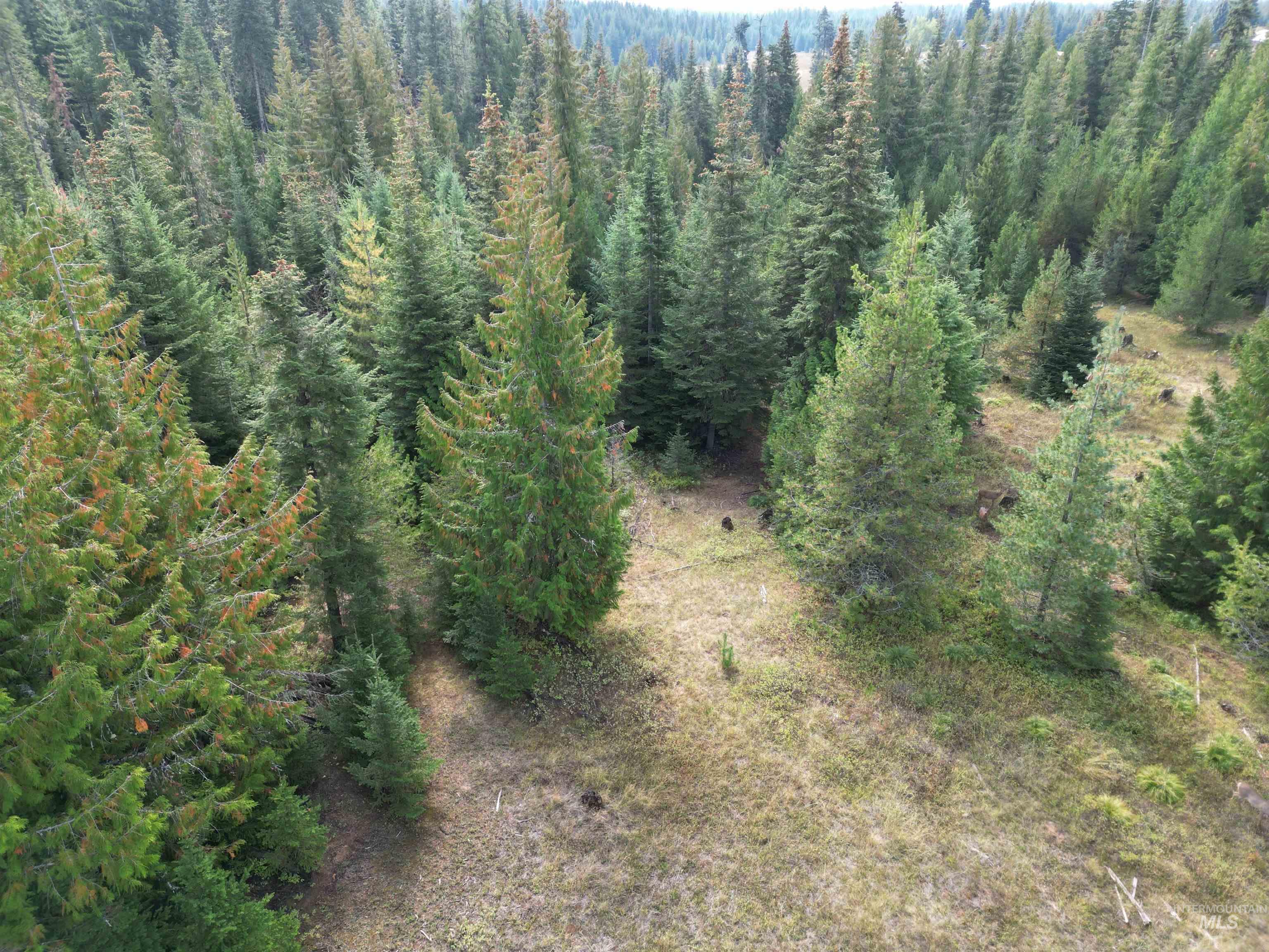 Aerial view of property and surrounding area
