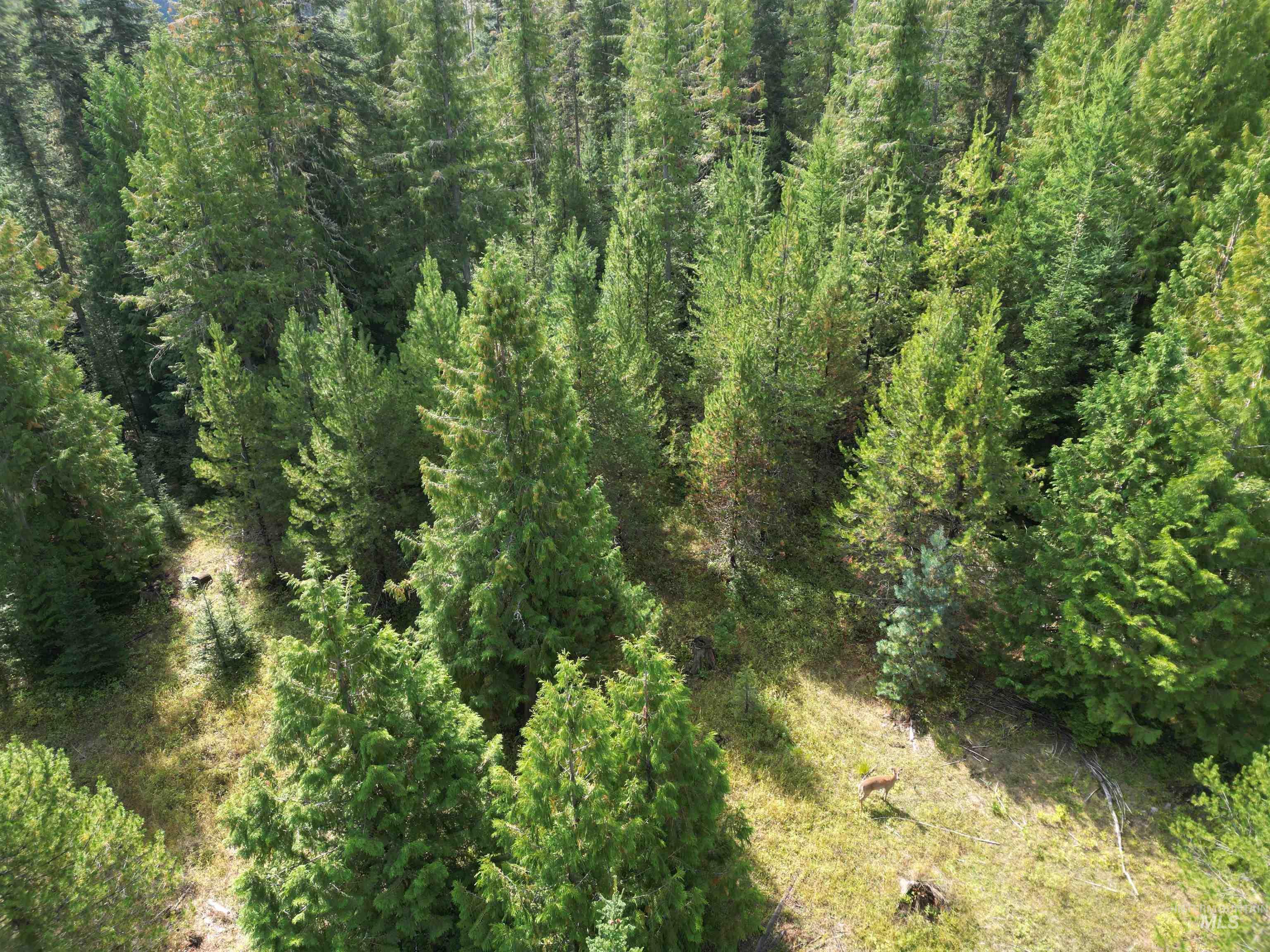 Aerial view of property's location