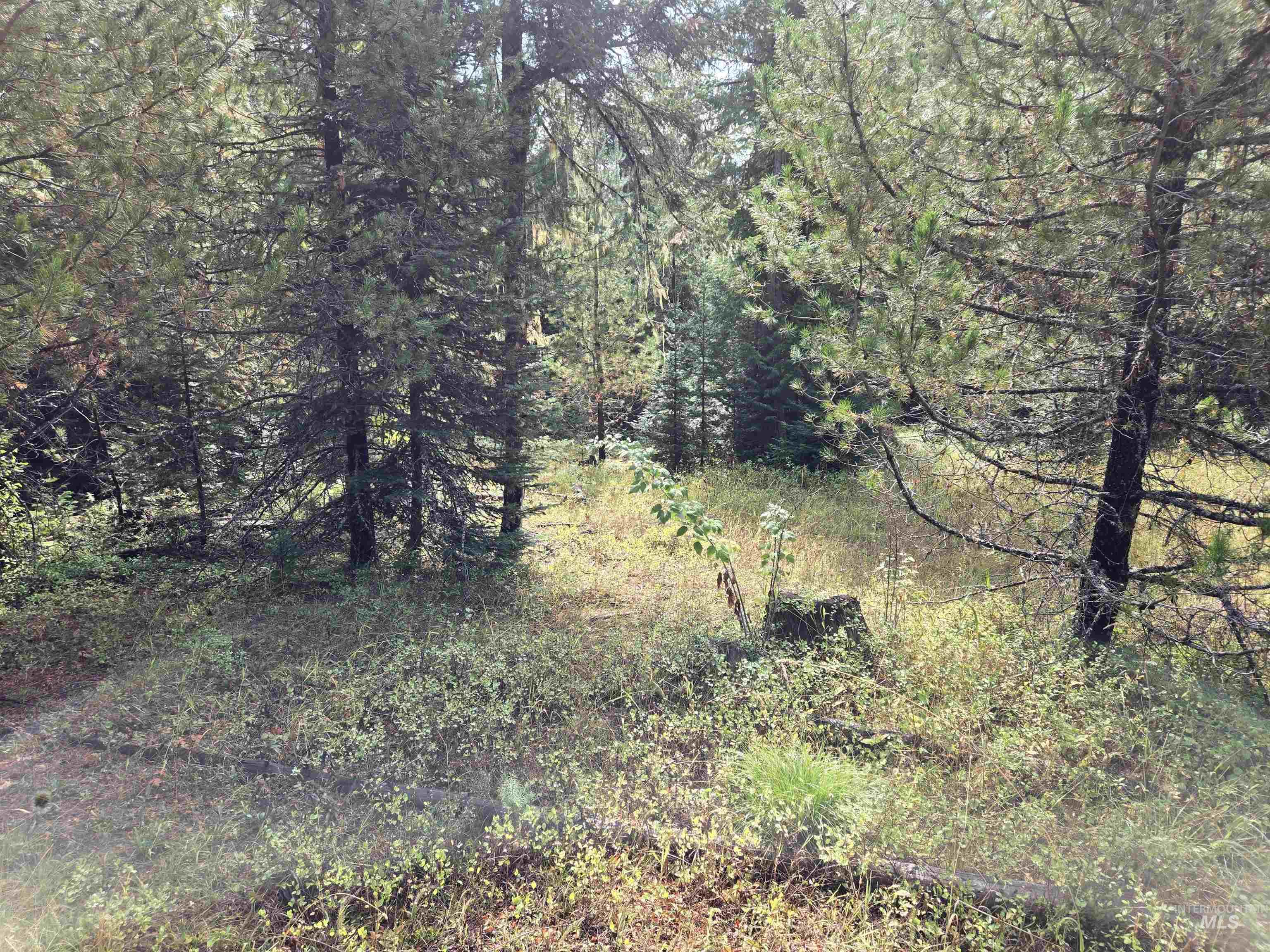 View of nature