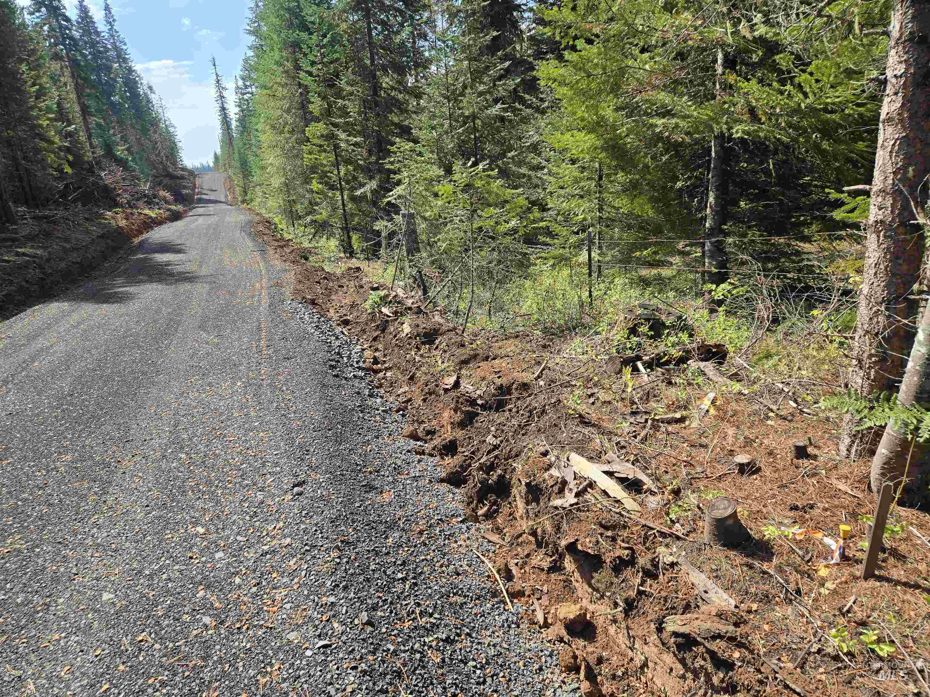 View of dirt / gravel road