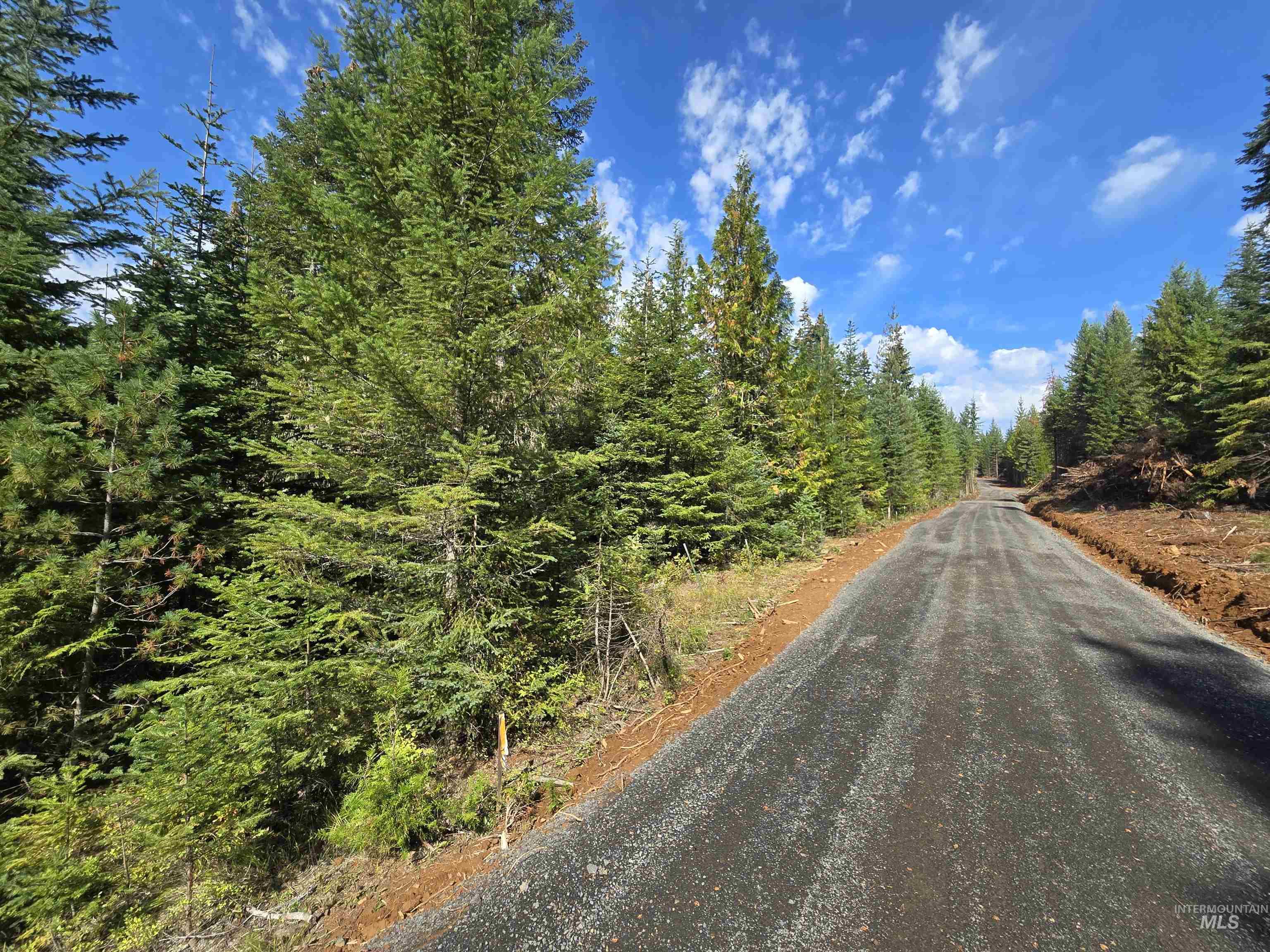 View of dirt / gravel road with a view of trees