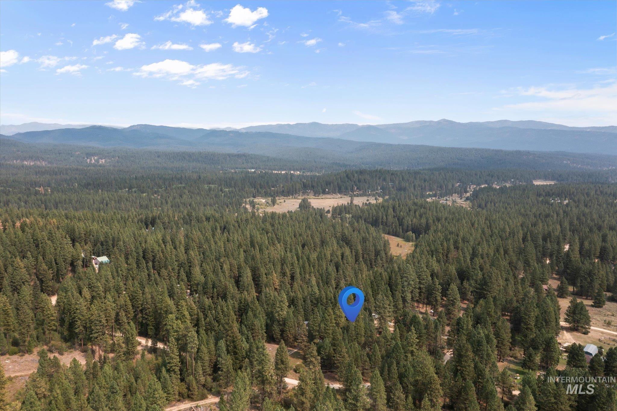 View of mountain backdrop featuring a forest