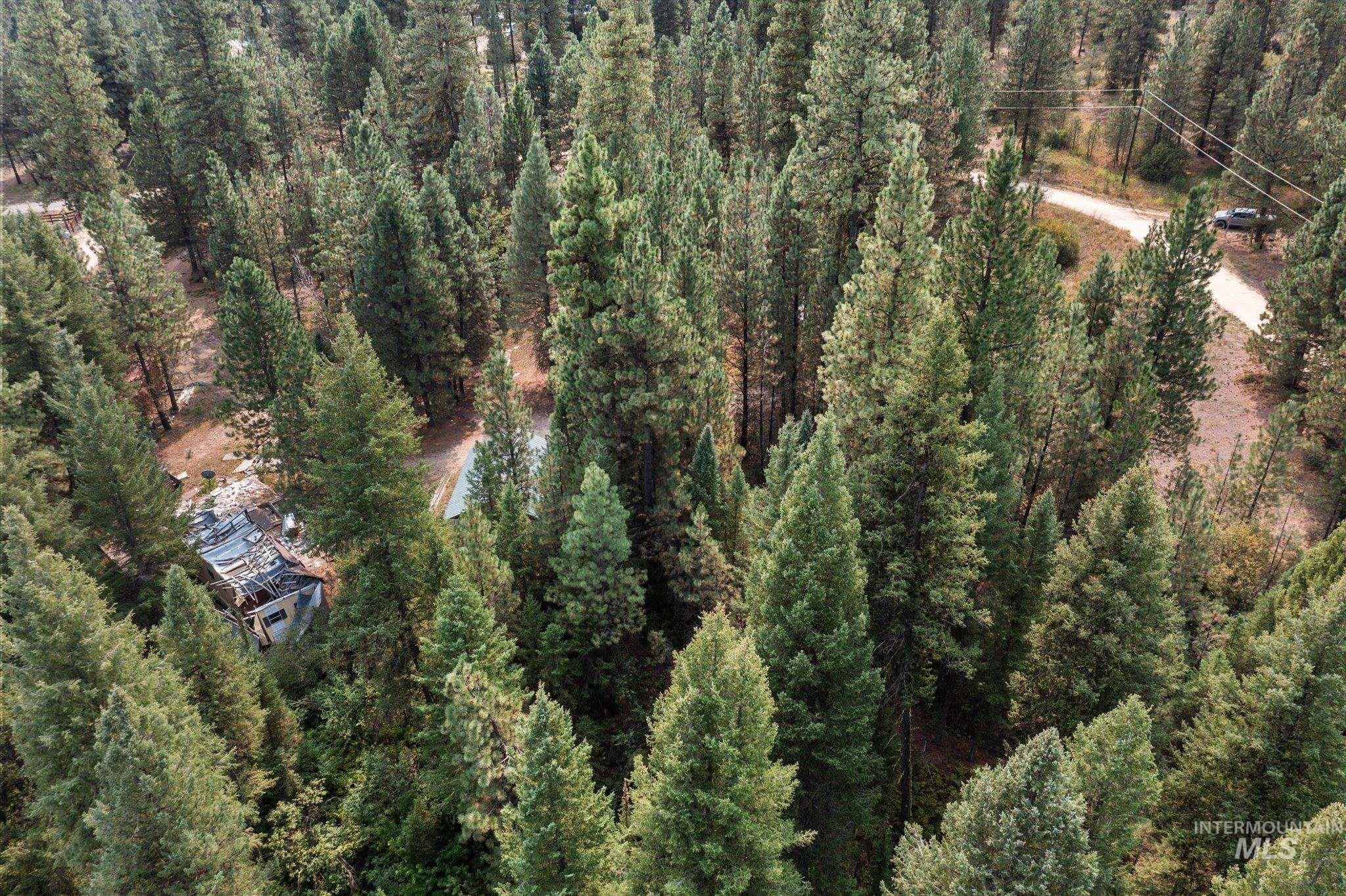 Aerial view of a heavily wooded area