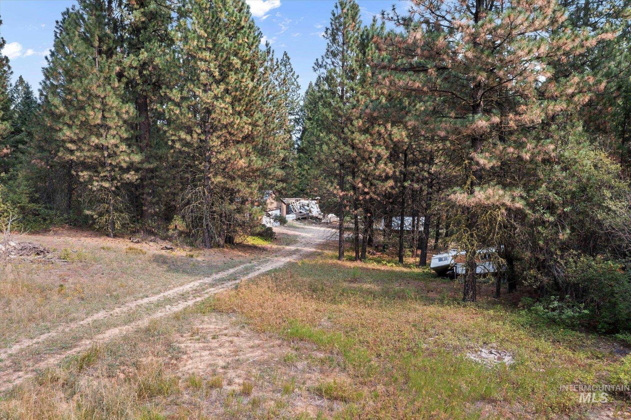 View of dirt / gravel driveway featuring view of wooded area