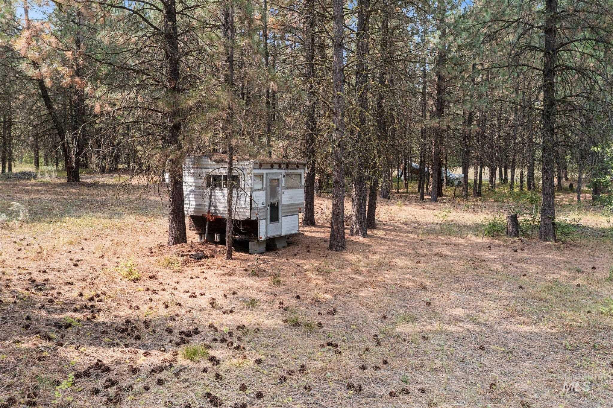 View of yard featuring an outbuilding