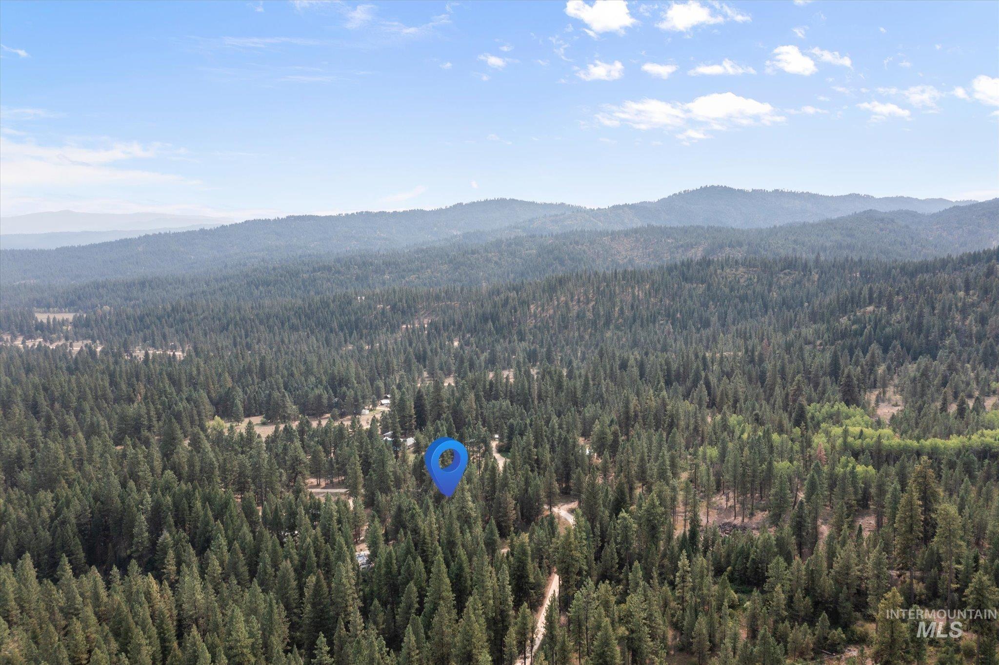 Mountain view featuring a heavily wooded area