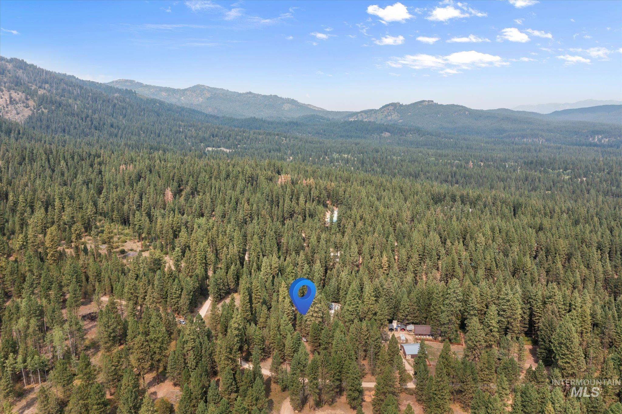 Aerial view of mountains and a forest