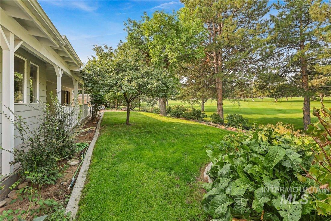 View of grassy yard