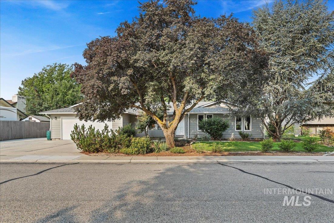 Obstructed view of property featuring concrete driveway and a garage